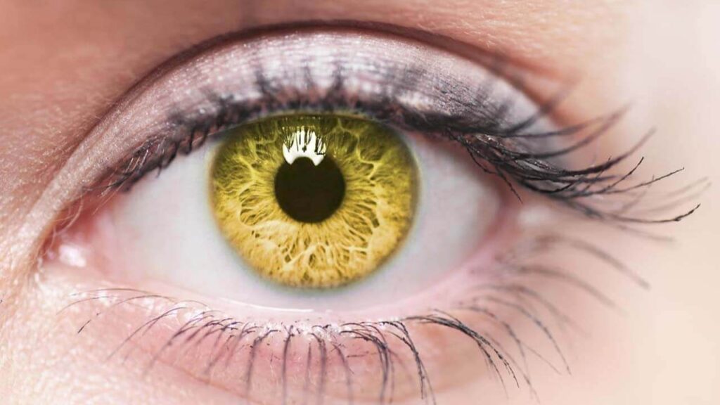 Understanding Retinal Diseases: Symptoms, Causes, and Treatments